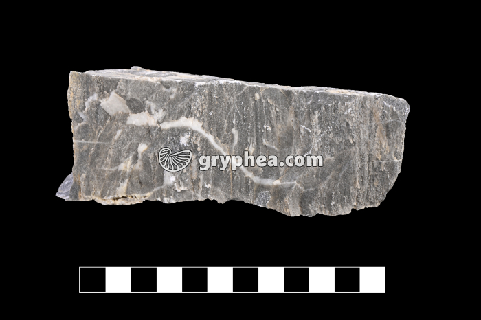 Radiolarite - échantillon (Massif du Chenaillet, Alpes) - gryphea.com